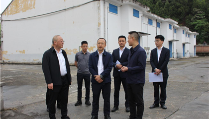 市國(guó)資委調(diào)研督導(dǎo)興業(yè)集團(tuán)經(jīng)營(yíng)管理工作